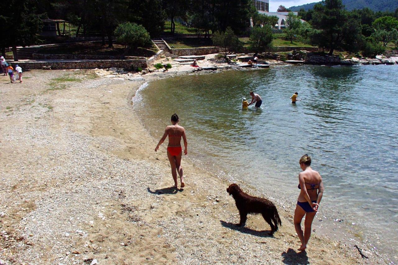 Apartman With A Parking Space Stari Grad, Hvar - 8708 *